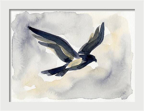 Soaring Falcon In Watercolor