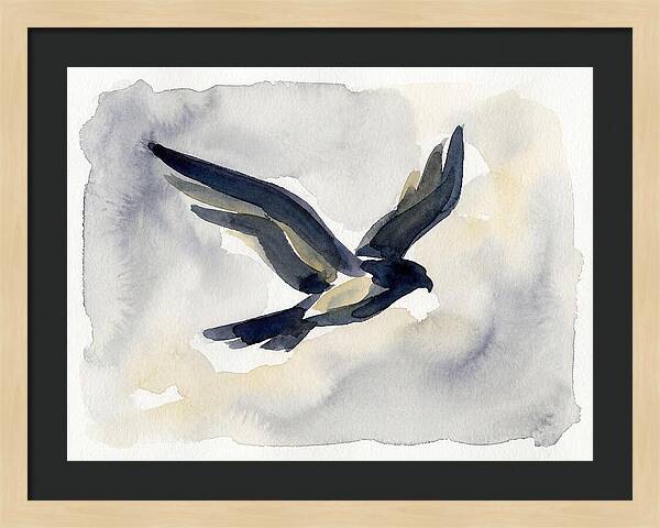Soaring Falcon In Watercolor