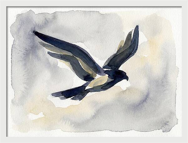 Soaring Falcon In Watercolor
