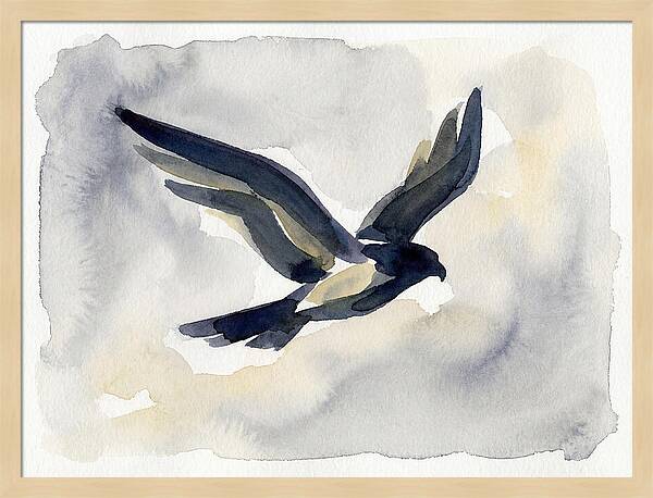 Soaring Falcon In Watercolor