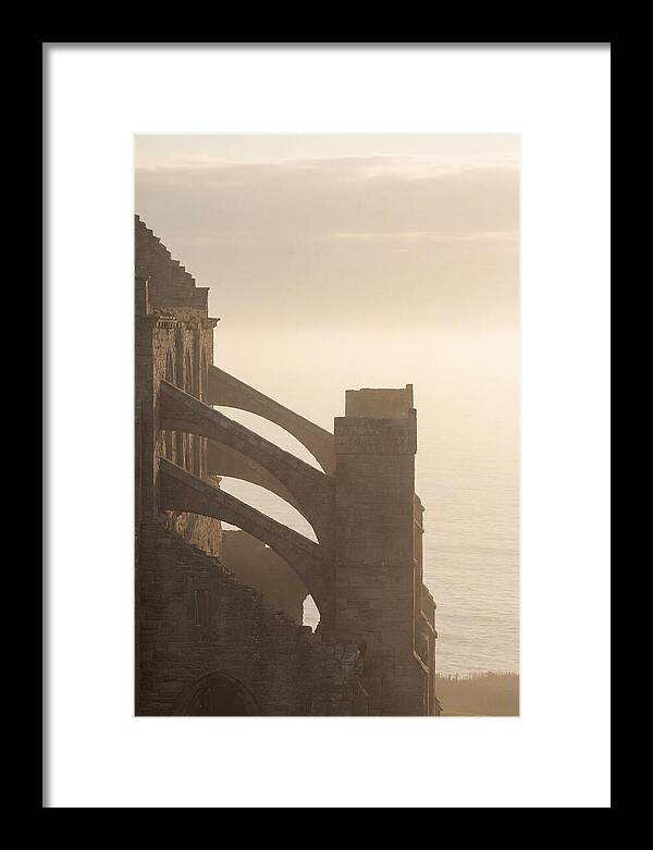 Soaring Flying Buttress