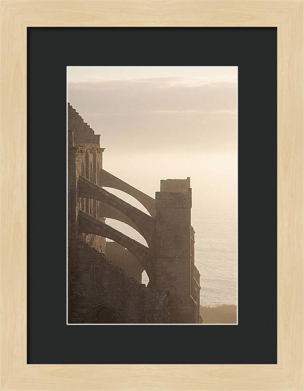 Soaring Flying Buttress