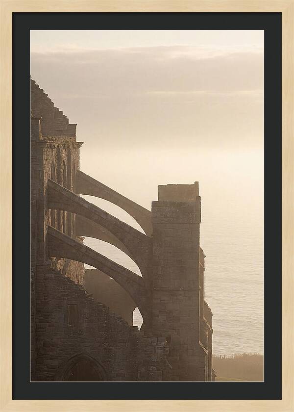Soaring Flying Buttress