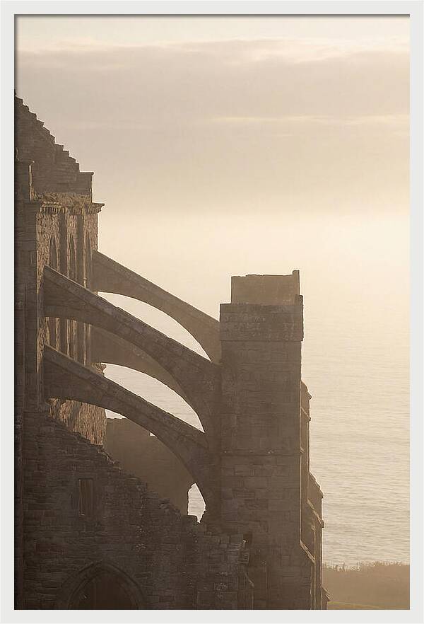 Soaring Flying Buttress