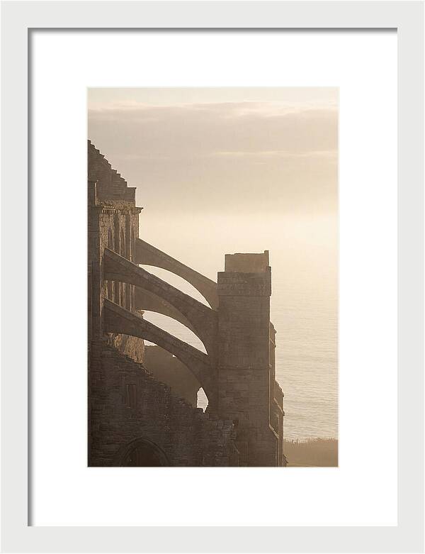 Soaring Flying Buttress
