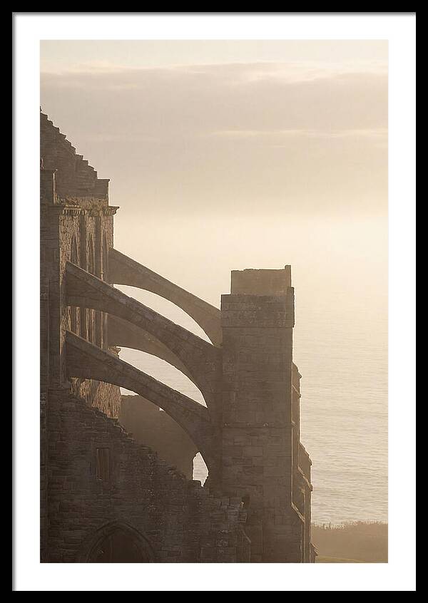 Soaring Flying Buttress