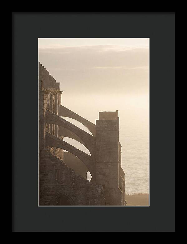 Soaring Flying Buttress