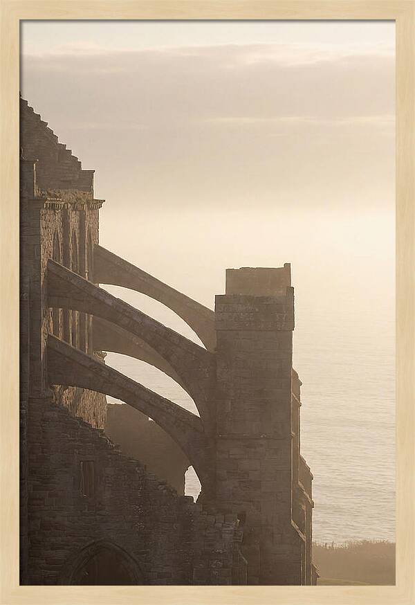 Soaring Flying Buttress