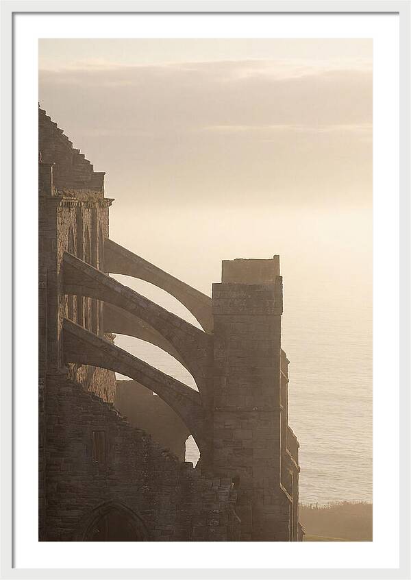 Soaring Flying Buttress
