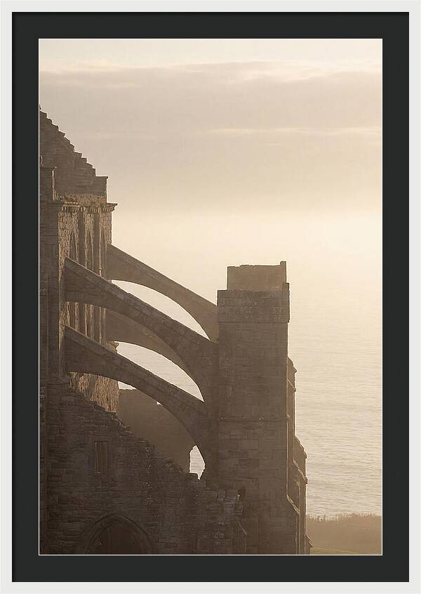 Soaring Flying Buttress