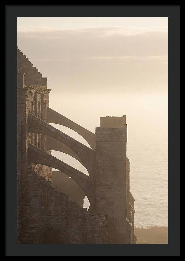 Soaring Flying Buttress