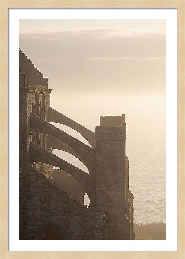 Soaring Flying Buttress