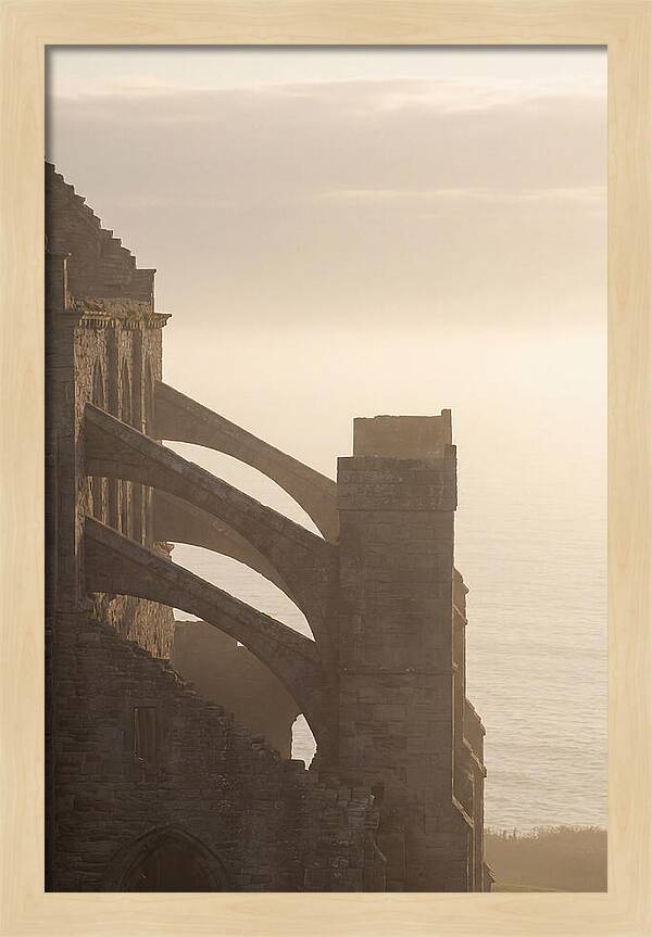 Soaring Flying Buttress