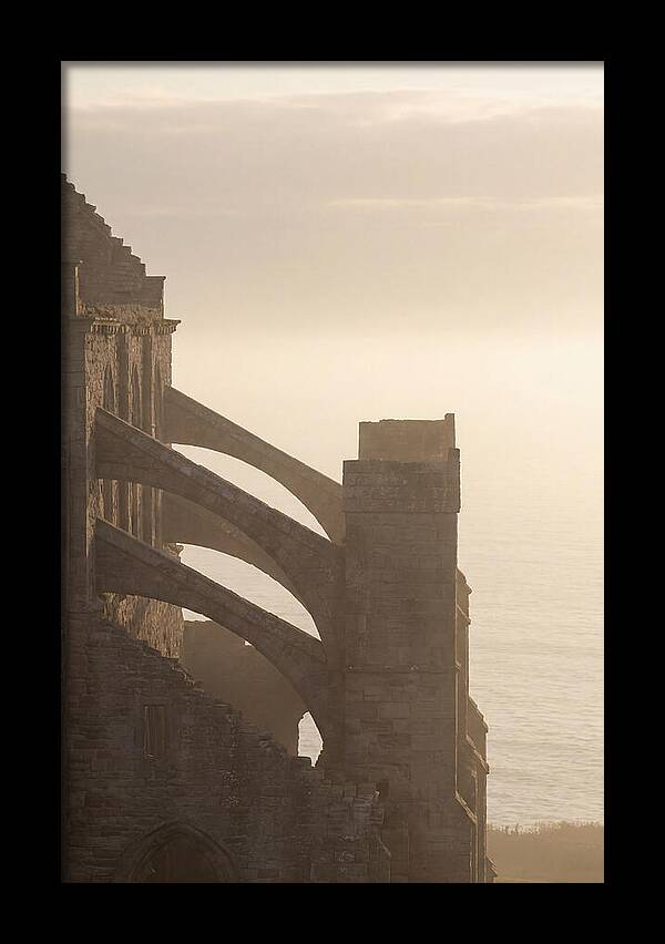 Soaring Flying Buttress