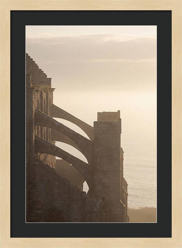 Soaring Flying Buttress
