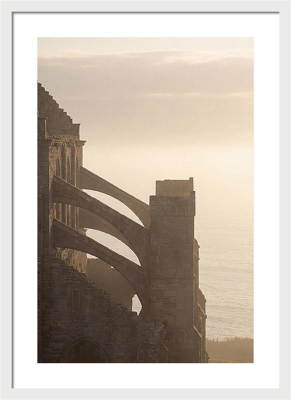 Soaring Flying Buttress