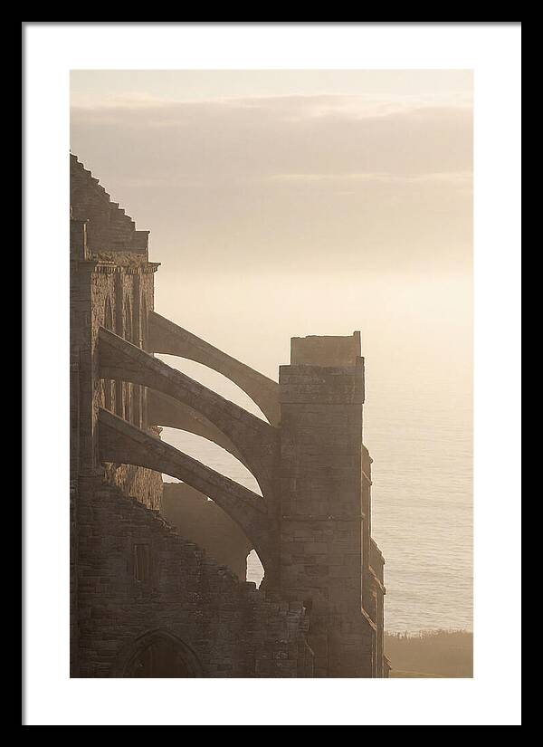 Soaring Flying Buttress