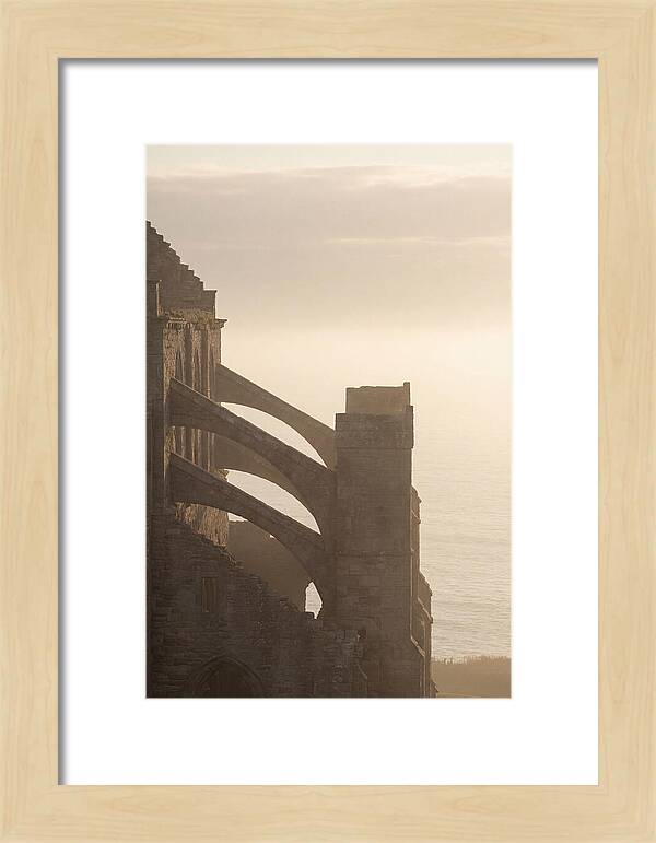 Soaring Flying Buttress