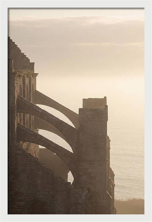 Soaring Flying Buttress