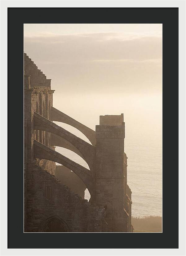 Soaring Flying Buttress