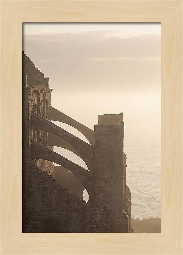 Soaring Flying Buttress