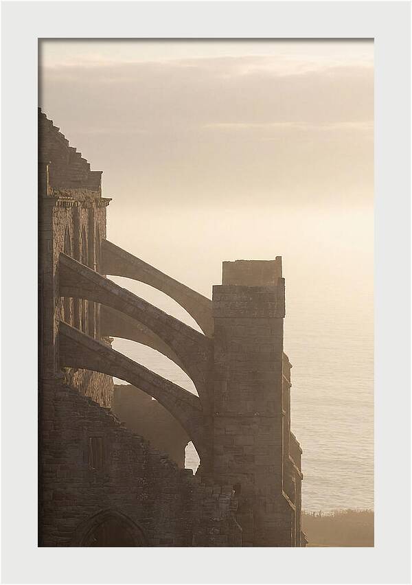 Soaring Flying Buttress