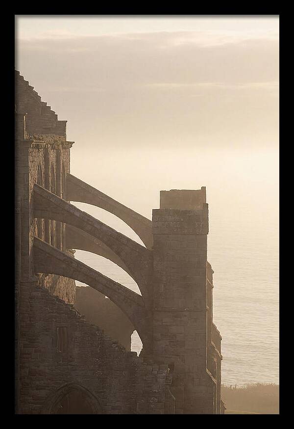Soaring Flying Buttress