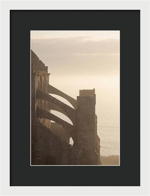 Soaring Flying Buttress