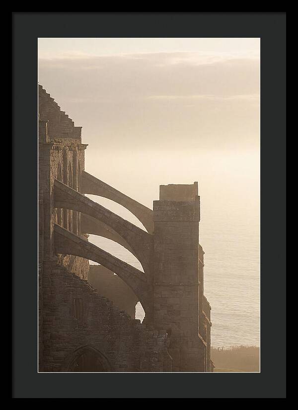 Soaring Flying Buttress