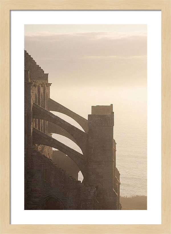 Soaring Flying Buttress