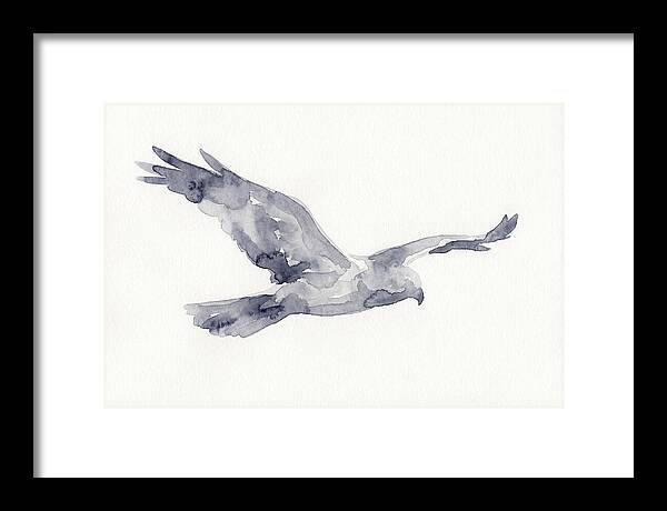 Soaring Harrier In Watercolor