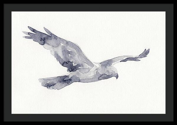 Soaring Harrier In Watercolor