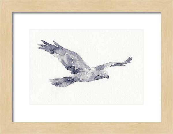 Soaring Harrier In Watercolor