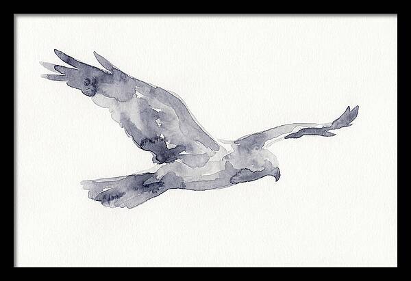 Soaring Harrier In Watercolor
