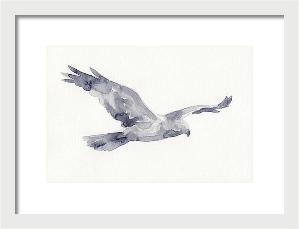 Soaring Harrier In Watercolor