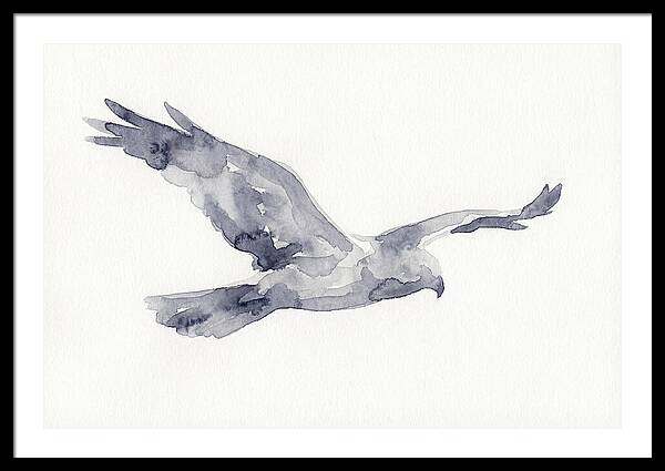 Soaring Harrier In Watercolor