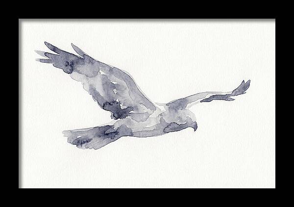 Soaring Harrier In Watercolor