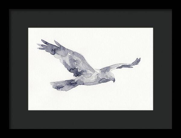 Soaring Harrier In Watercolor