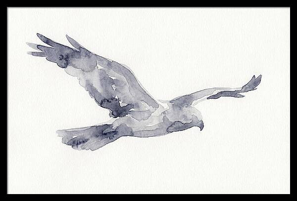 Soaring Harrier In Watercolor