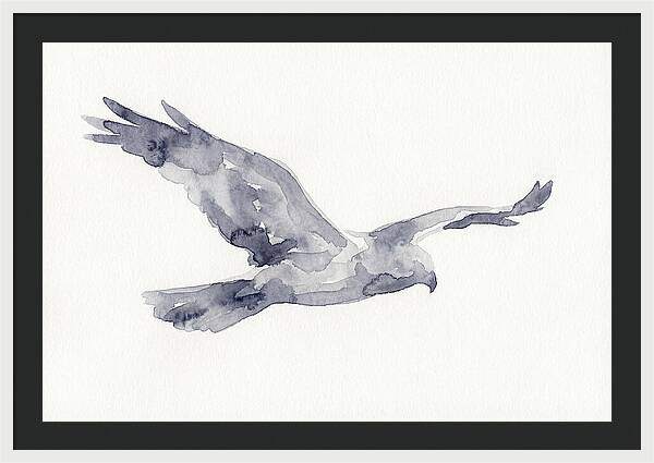Soaring Harrier In Watercolor