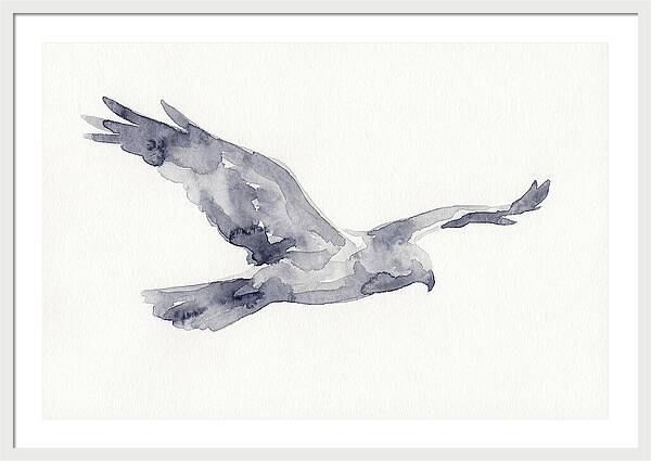 Soaring Harrier In Watercolor