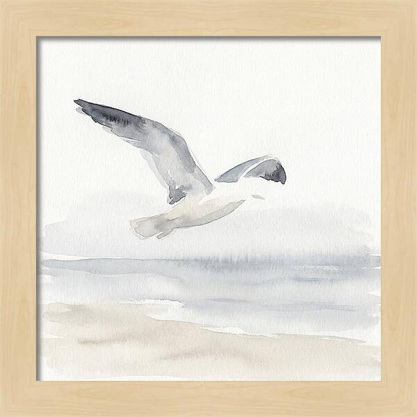 Soaring Seagull Over Water