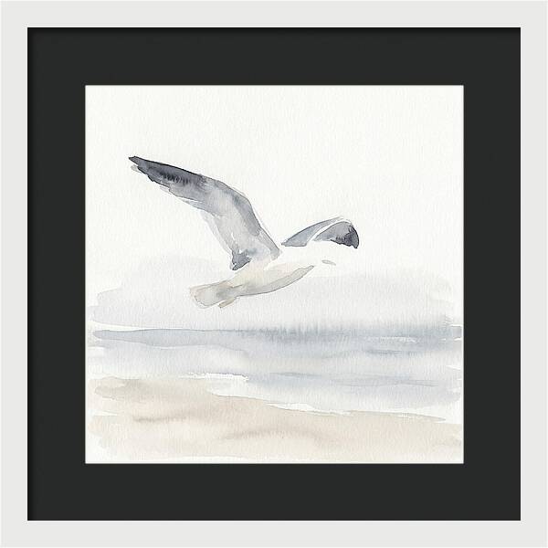 Soaring Seagull Over Water