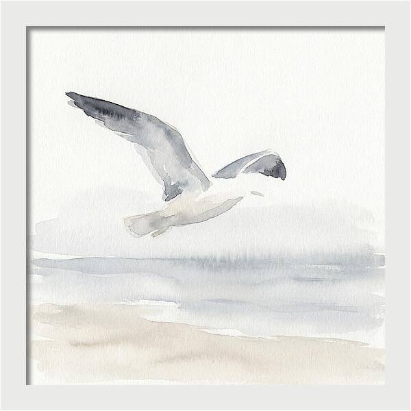 Soaring Seagull Over Water
