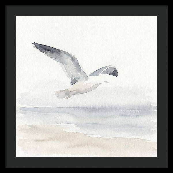 Soaring Seagull Over Water