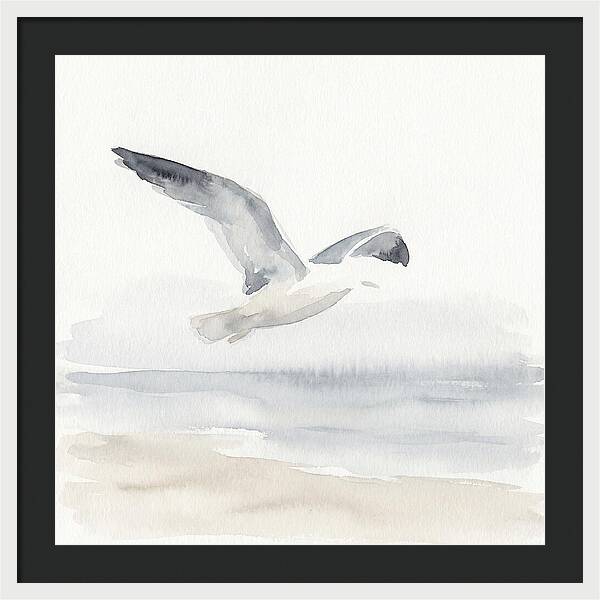 Soaring Seagull Over Water