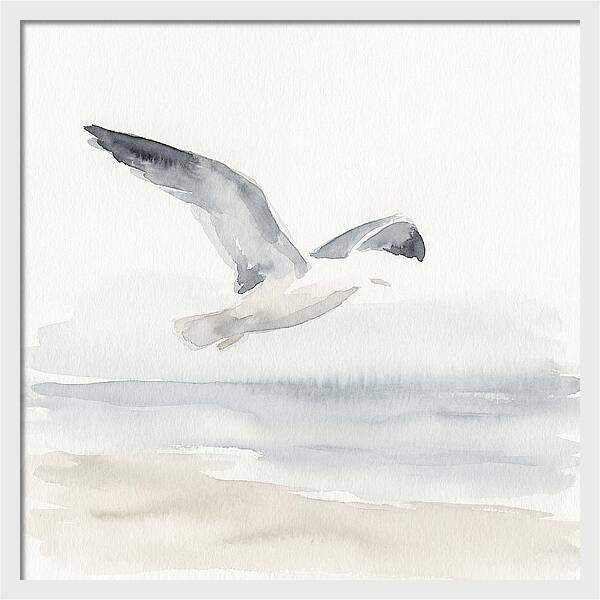 Soaring Seagull Over Water