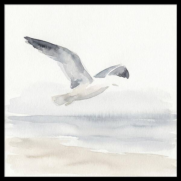 Soaring Seagull Over Water