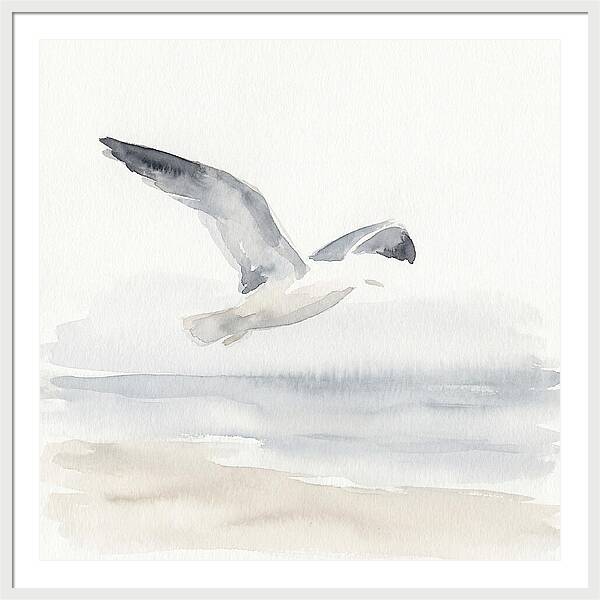 Soaring Seagull Over Water
