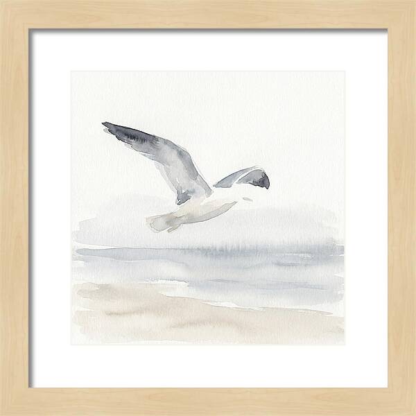 Soaring Seagull Over Water